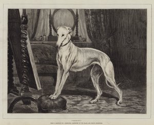 Turhamaisuus